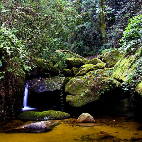 IMG-20231116-WA0055