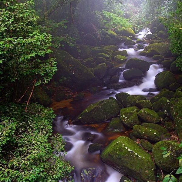 IMG-20231116-WA0103